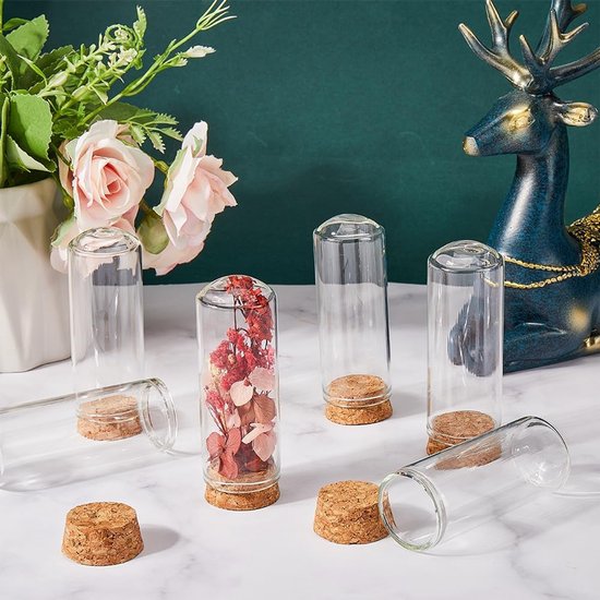 Glazen Cloche Display Dome met Houten Basis 20cm x 35cm (Zwarte Base) Elegant Home Decor Stuk