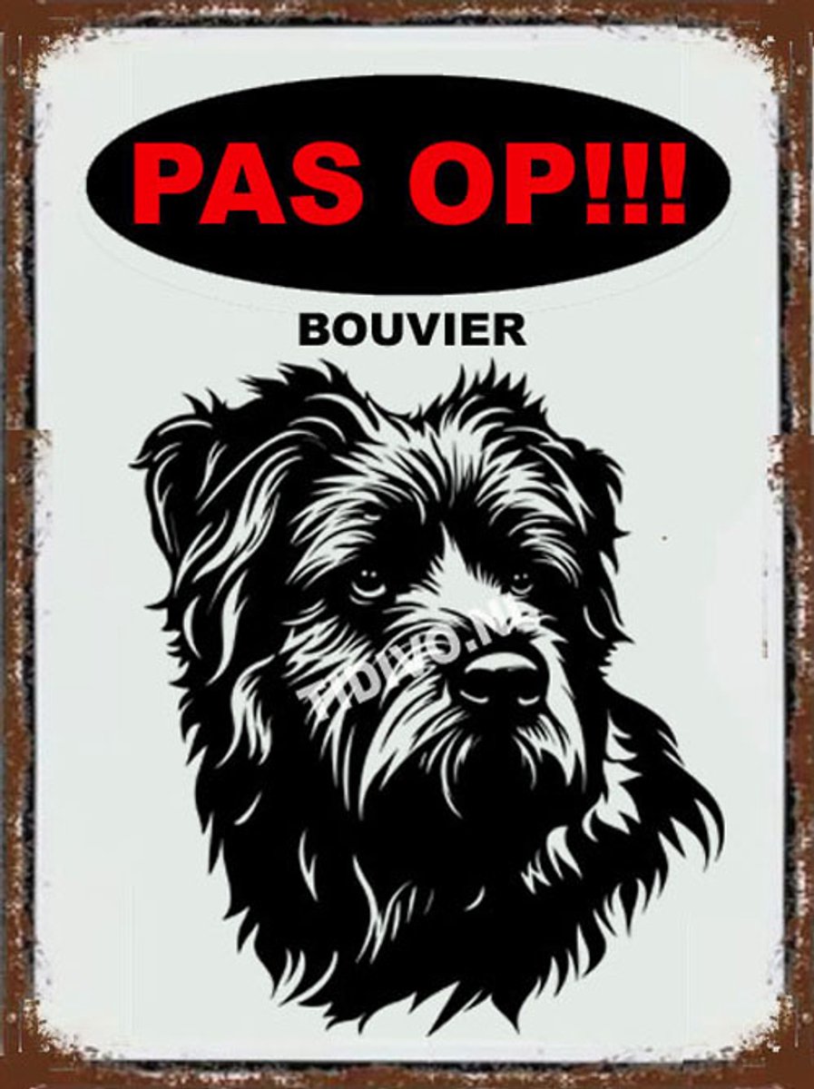 Bouvier 17