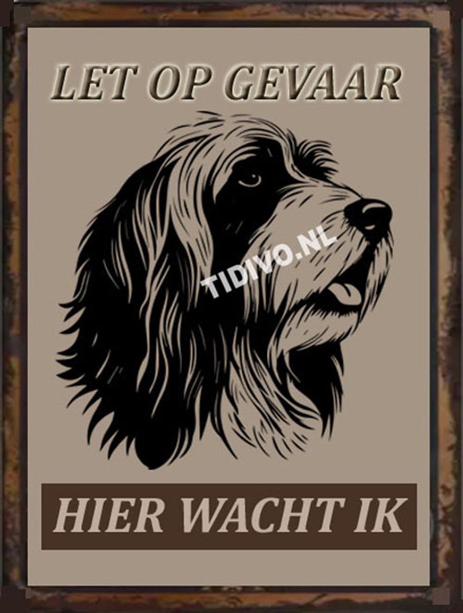 Bearded Collie 18