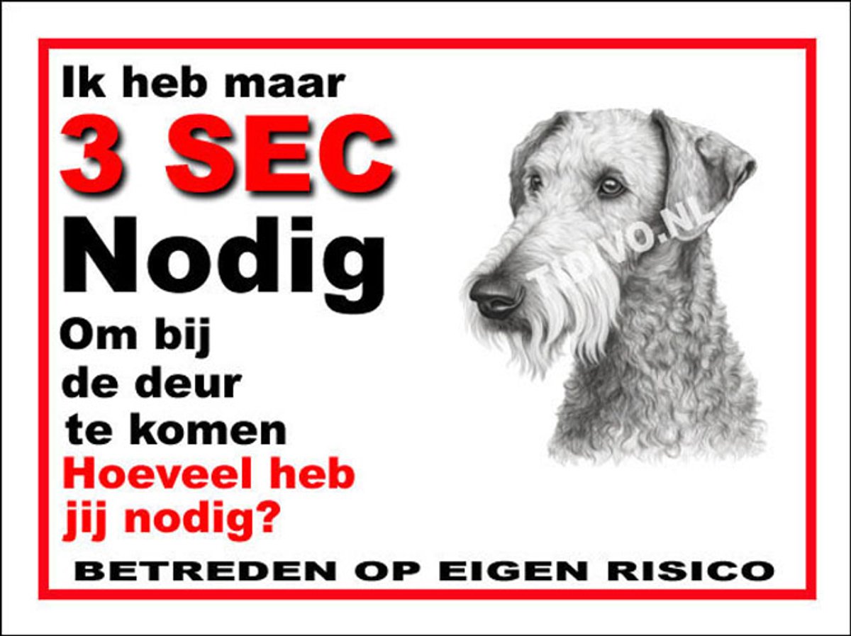 Bedlington Terrier 6
