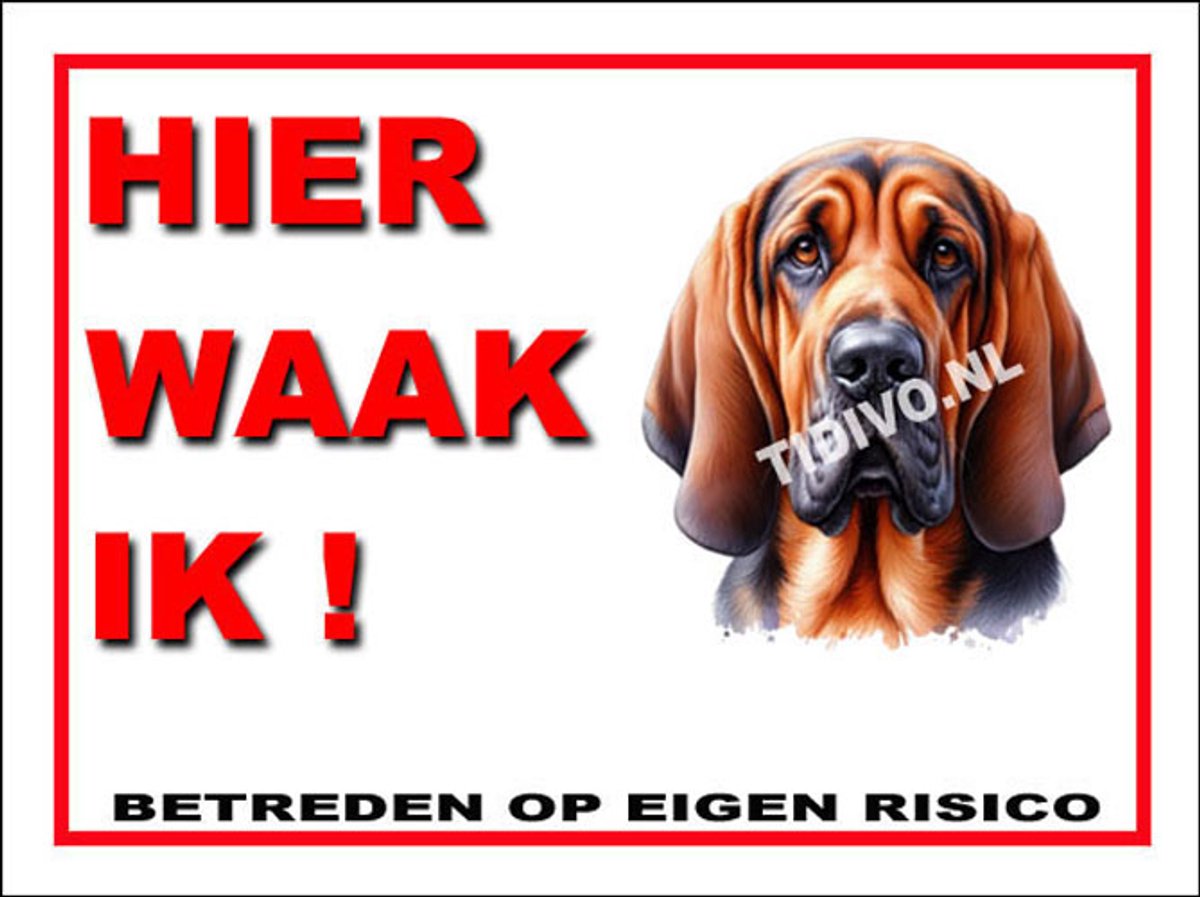 Bloedhond 3