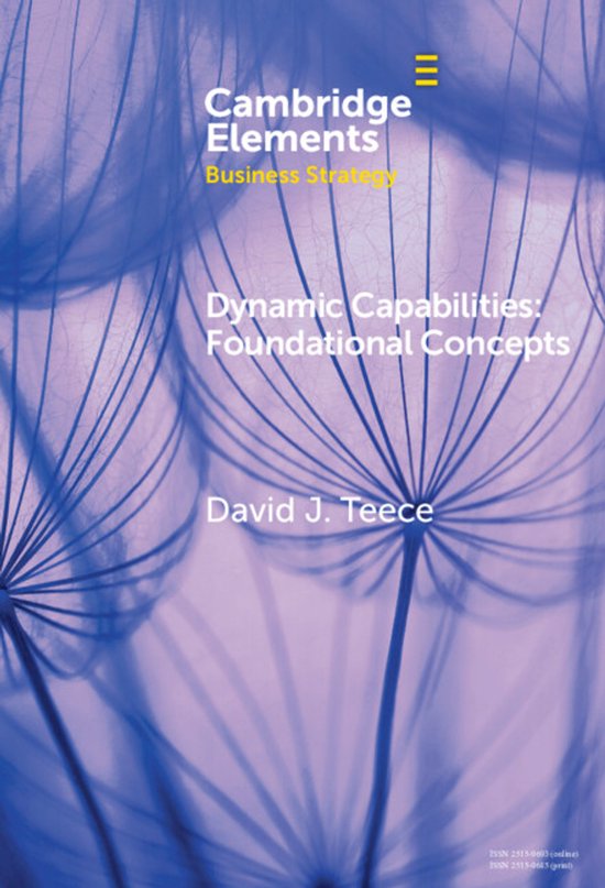 Elements in Business Strategy- Dynamic Capabilities - cover