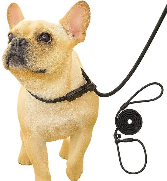 Sliplijn Met Stop I Hondenriem I 130 CM I Hondenriem I Nylon Trainingslijn I 130 CM I Zwart