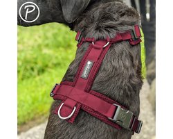 Petlando Mesh Y-Harness Comfort - Bordeaux