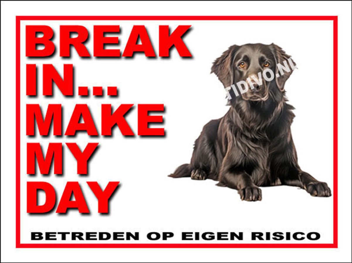 Flatcoated Retriever 1