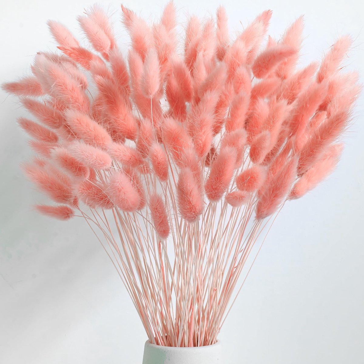 Ibenzoa® Uitgebreide Pampasgras- en Droogbloemencollectie voor Romantische Bruiloften en Gezellige Woondecoratie