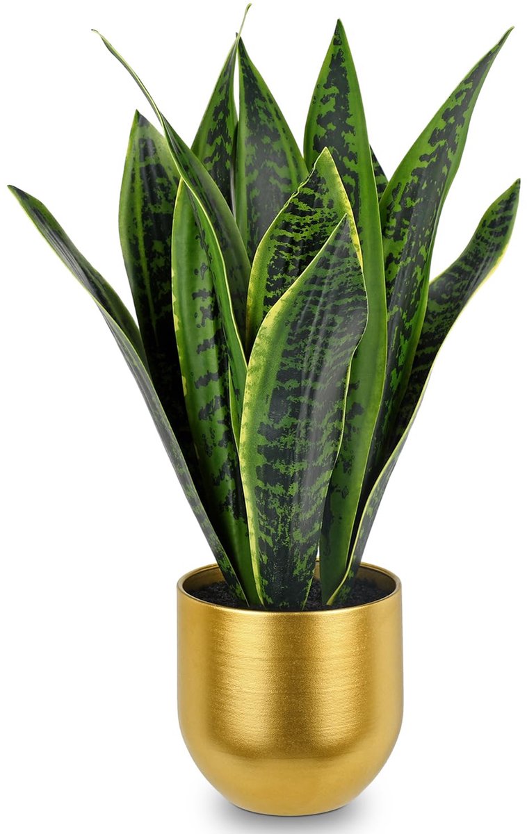 Ibenzoa® Kunstmatige Sansevieria kamerplant met realistische uitstraling in elegante witte pot van keramiek