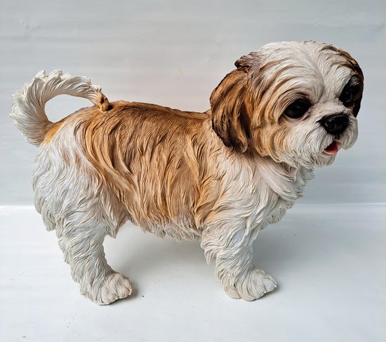 Shih Tzu race de chien 213212 modèle unique et magnifique - grandeur nature - longueur du chiot 39 cm - chien - chien
