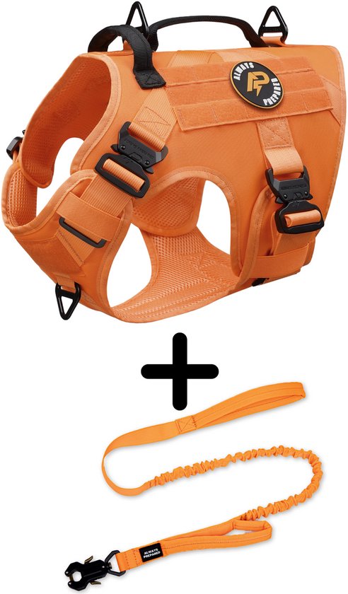 Harnais pour chien orange avec sangles renforcées, poignée et laisse assortie.
