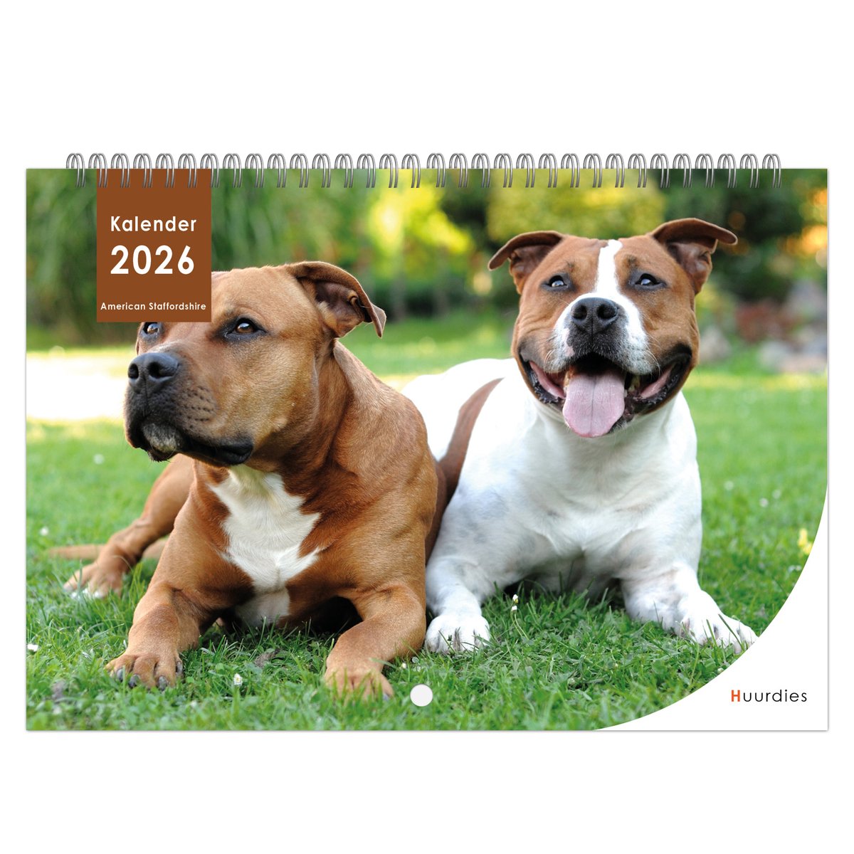 Huurdies - 2026 Kalender - American Staffordshireterriër - A4