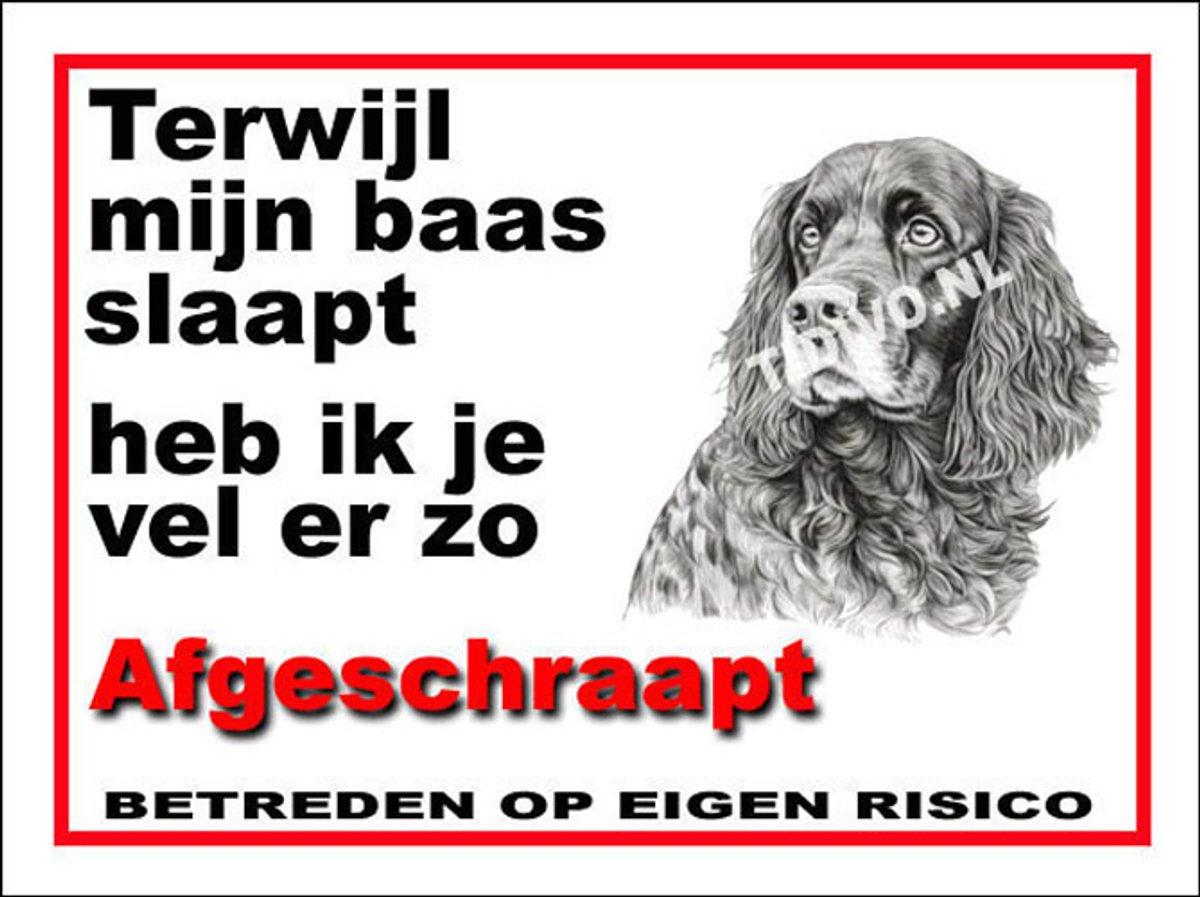Field Spaniel 15