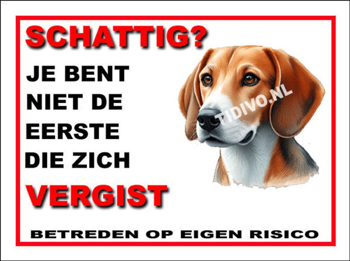 Engelse Foxhound 14