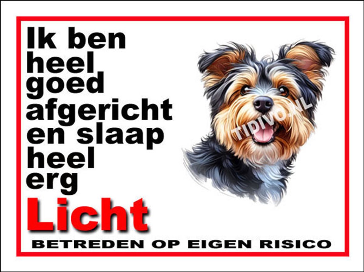Australian Terrier 4