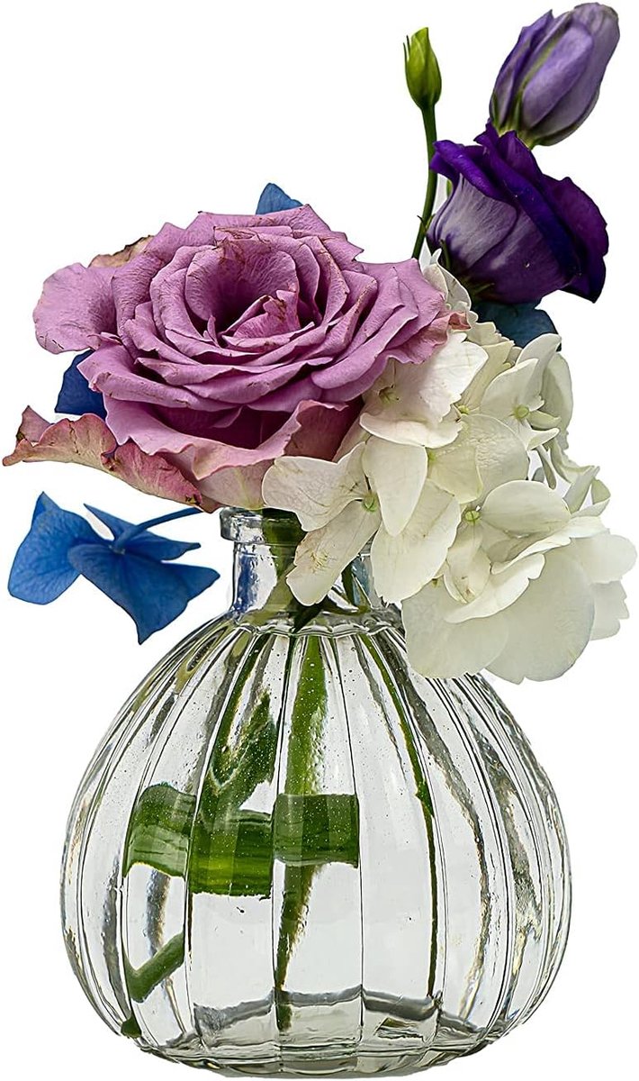 Famanu - Kleine vaas bloemen tafelvaas decoratie bruiloft party deco set fles helder glas (6 stuks)