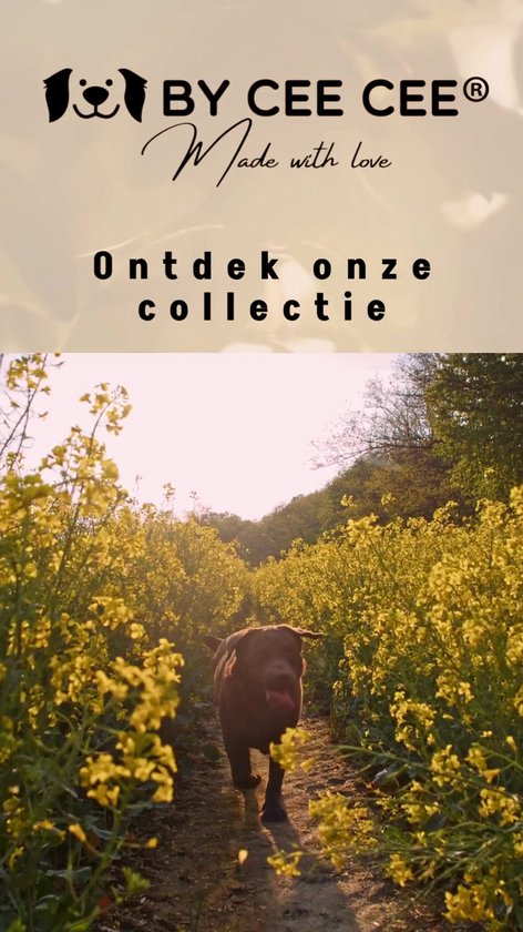 Hondendeken action - Dierenmanden kopen? | Korting tot 79 Hondendeken action - Dierenmanden kopen? | Korting tot 79