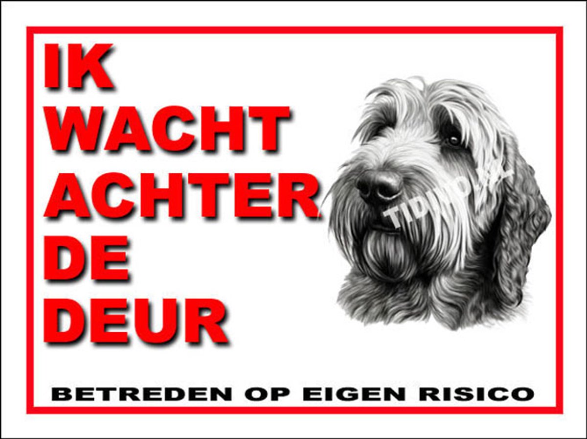 Otterhound 10
