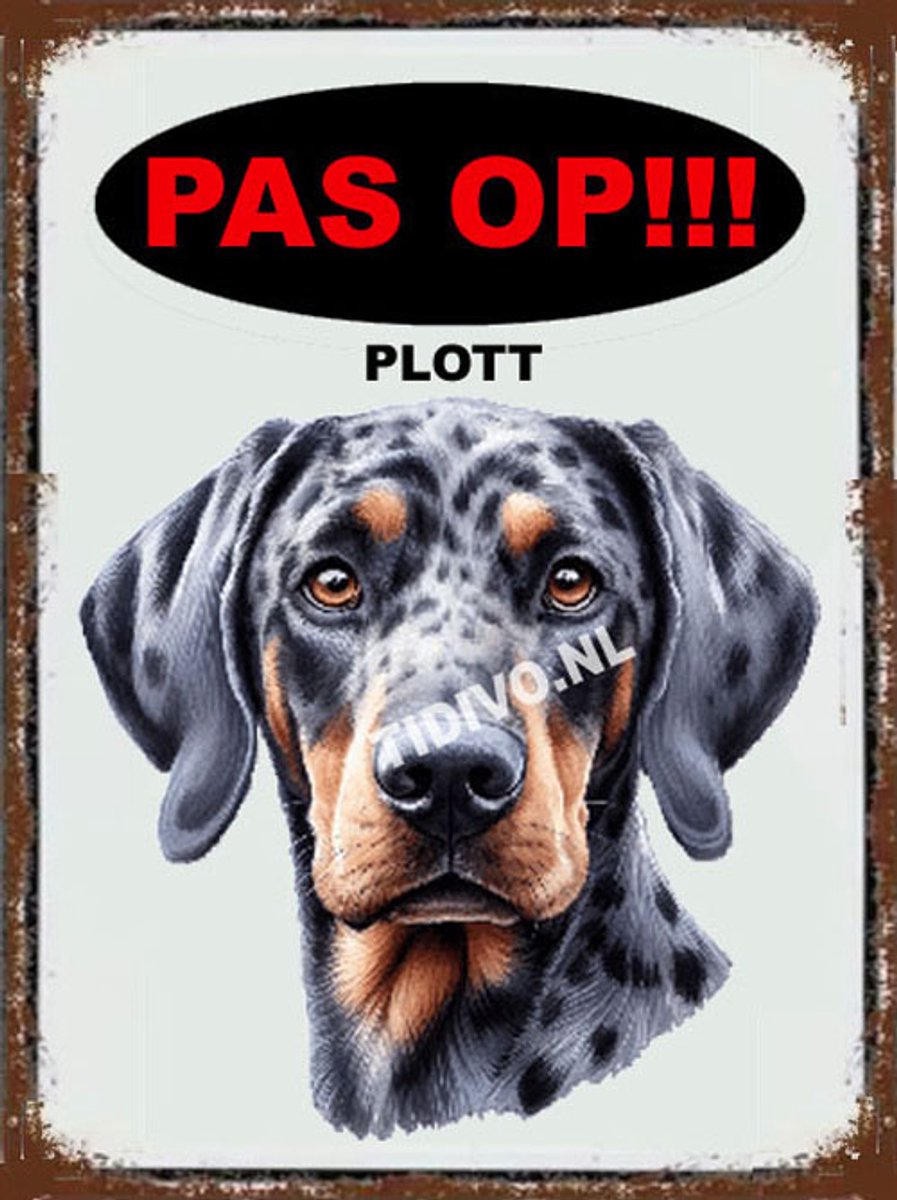 Plott 17