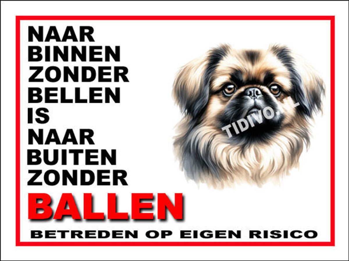 Pekingees 11