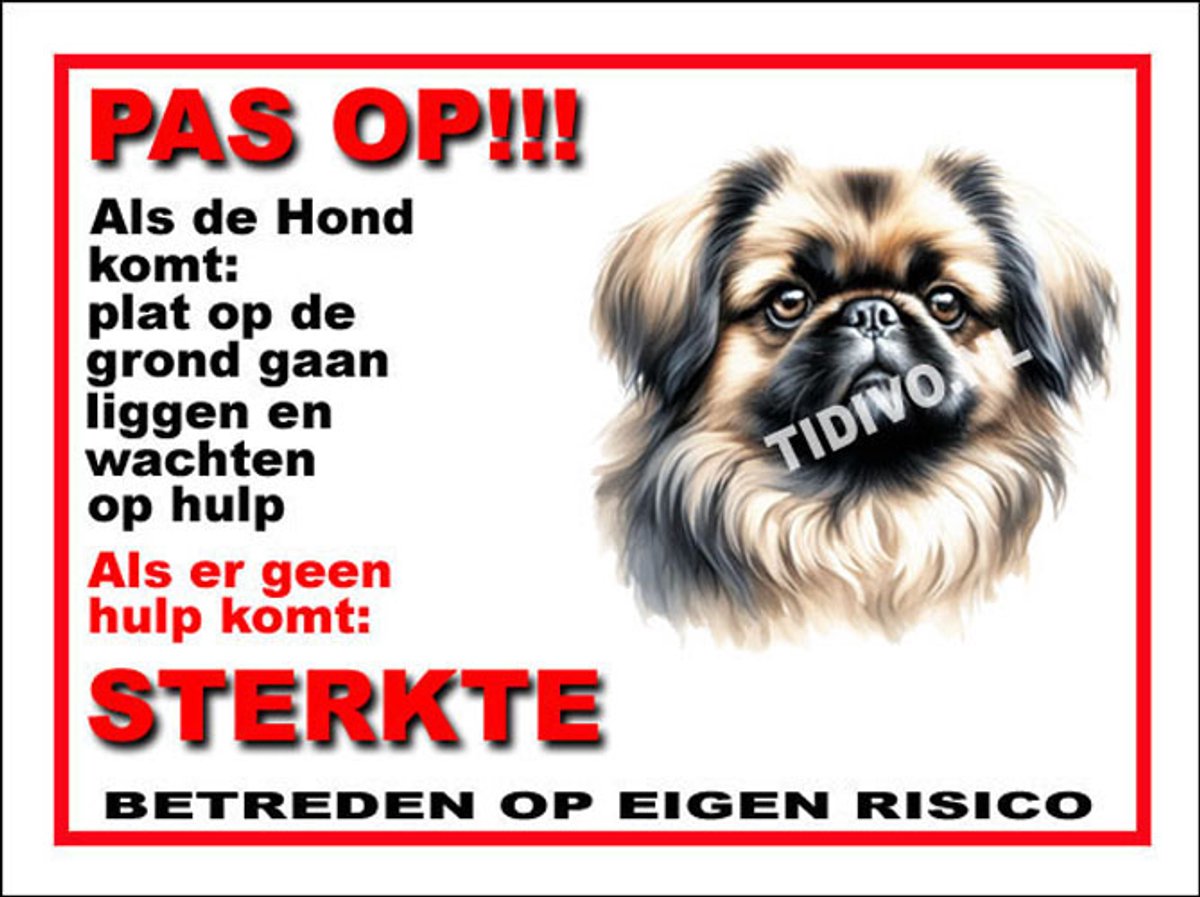 Pekingees 12