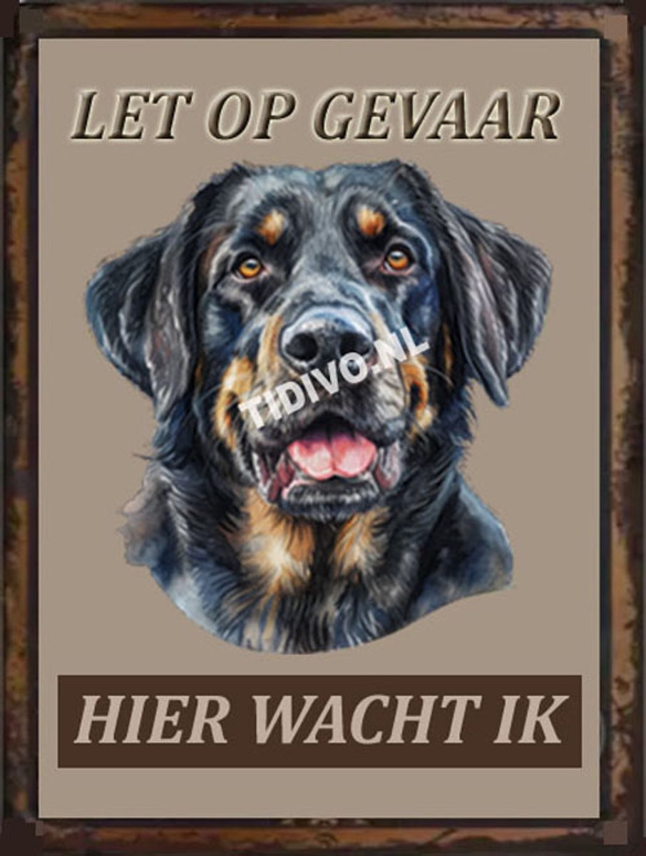 Münsterländer 18