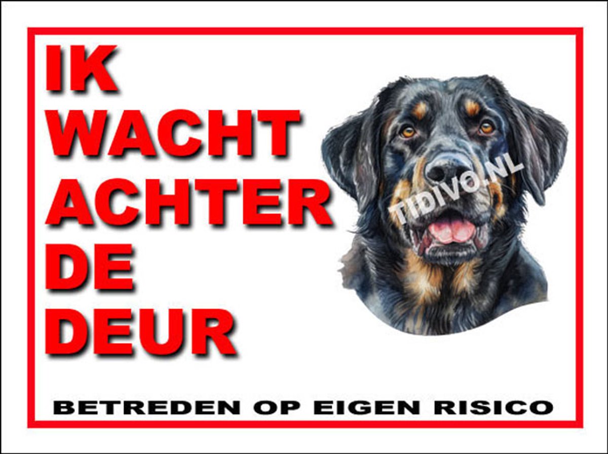 Münsterländer 10