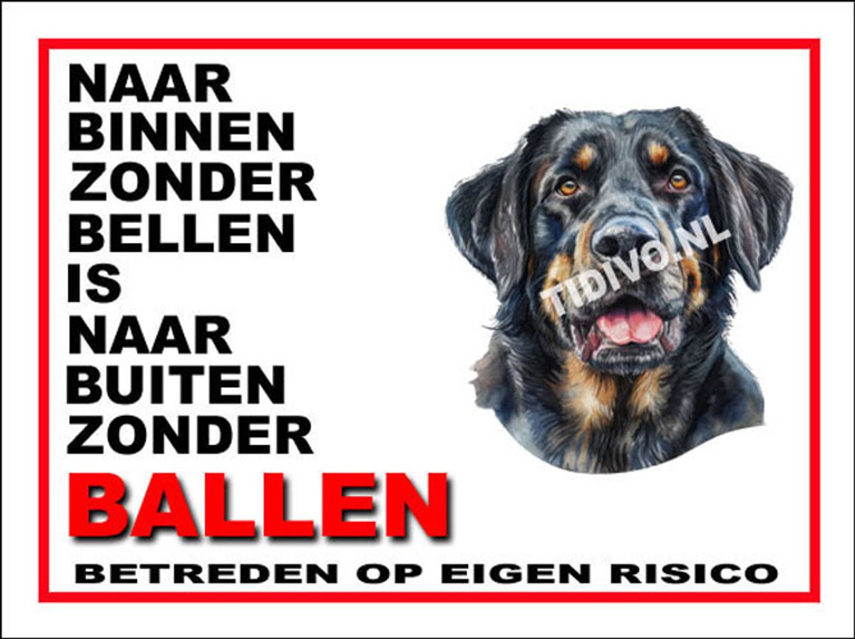 Münsterländer 11