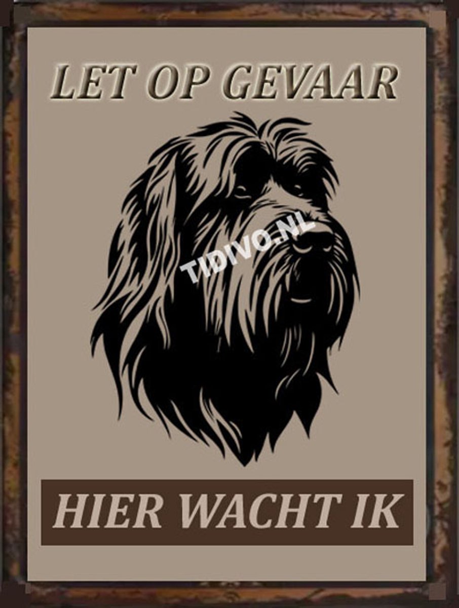 Briard 18
