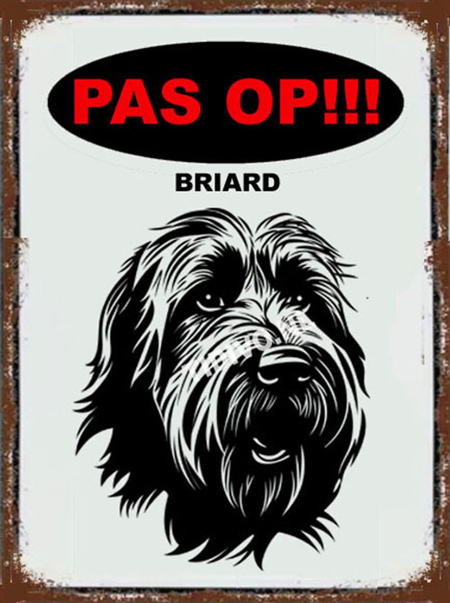 Briard 17