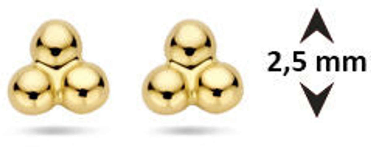 9K Geelgouden 9k oorknoppen bolletjes 2,5 mm - 8000264