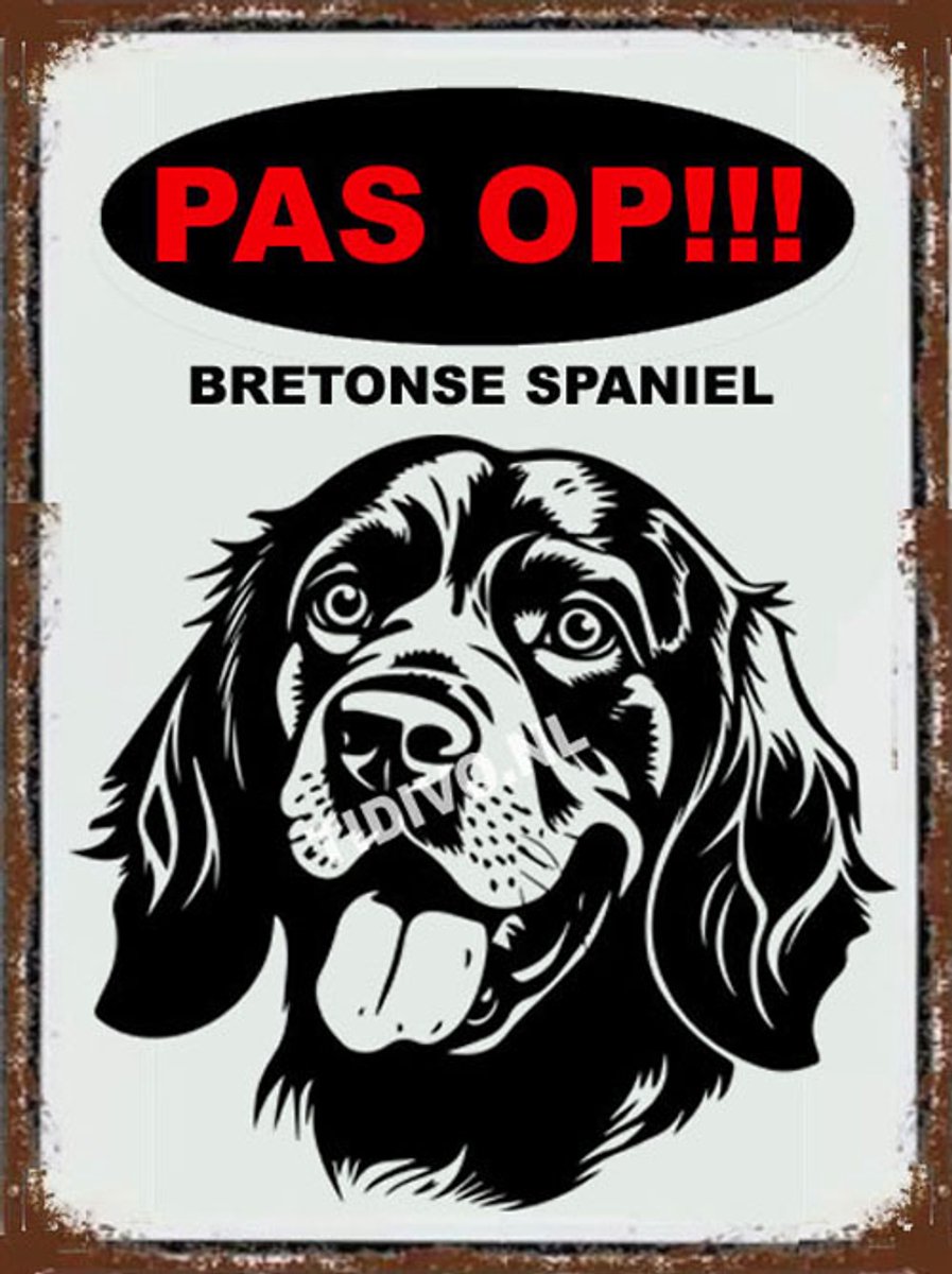 Bretonse Spaniël 17