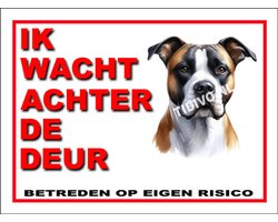 American Staffordshire Terrier 10