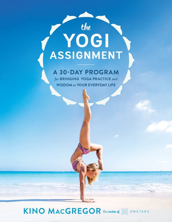 The Yogi Assignment - cover