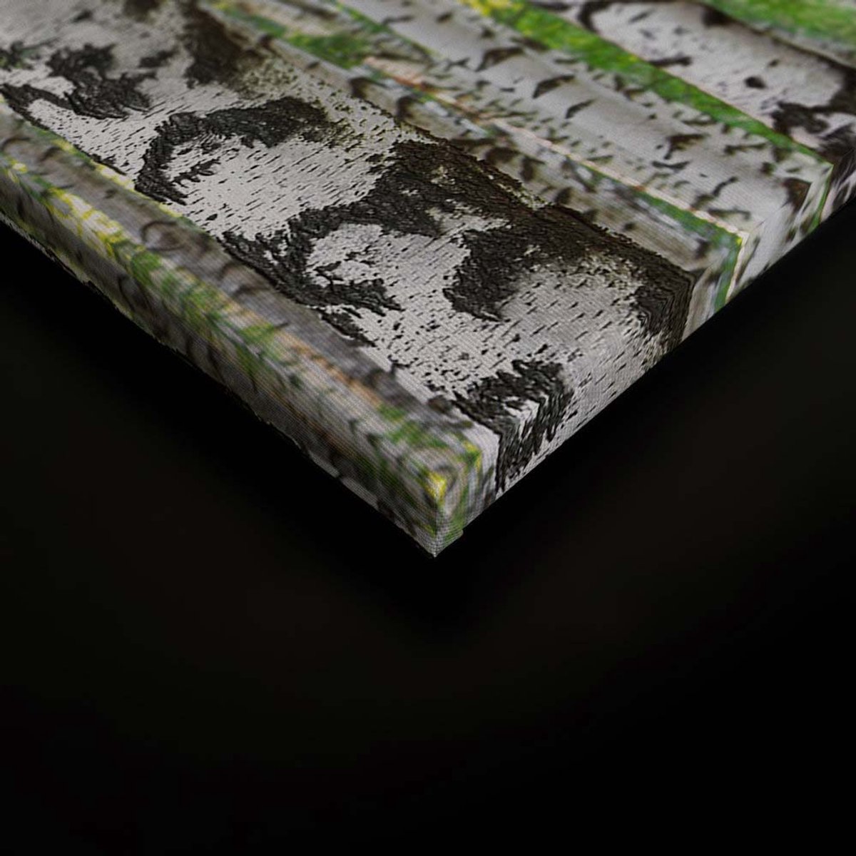 Canvas DD124944 Birchforest A. S. Création