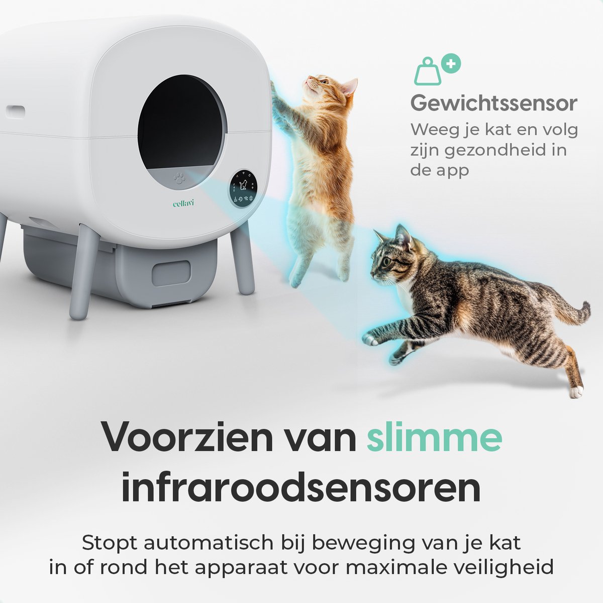 Cellavi Zelfreinigende Kattenbak NEO-B - Automatische Kattenbak met App - Extra Groot XXL (95L) - Stankvrij - LED Verlichting - Voor 1 t/m 3 Katten thumbnail 5