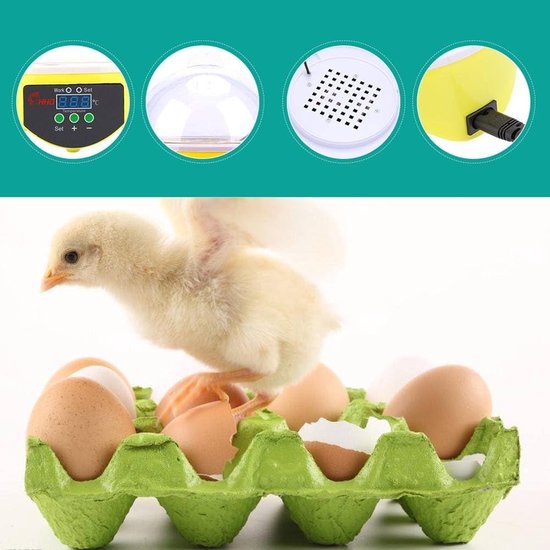 Best Selling Automatic 3520 Chicken Eggs Incubator with Low Power Consumption Al Best Selling Automatic 3520 Chicken Eggs Incubator with Low Power Consumption Al