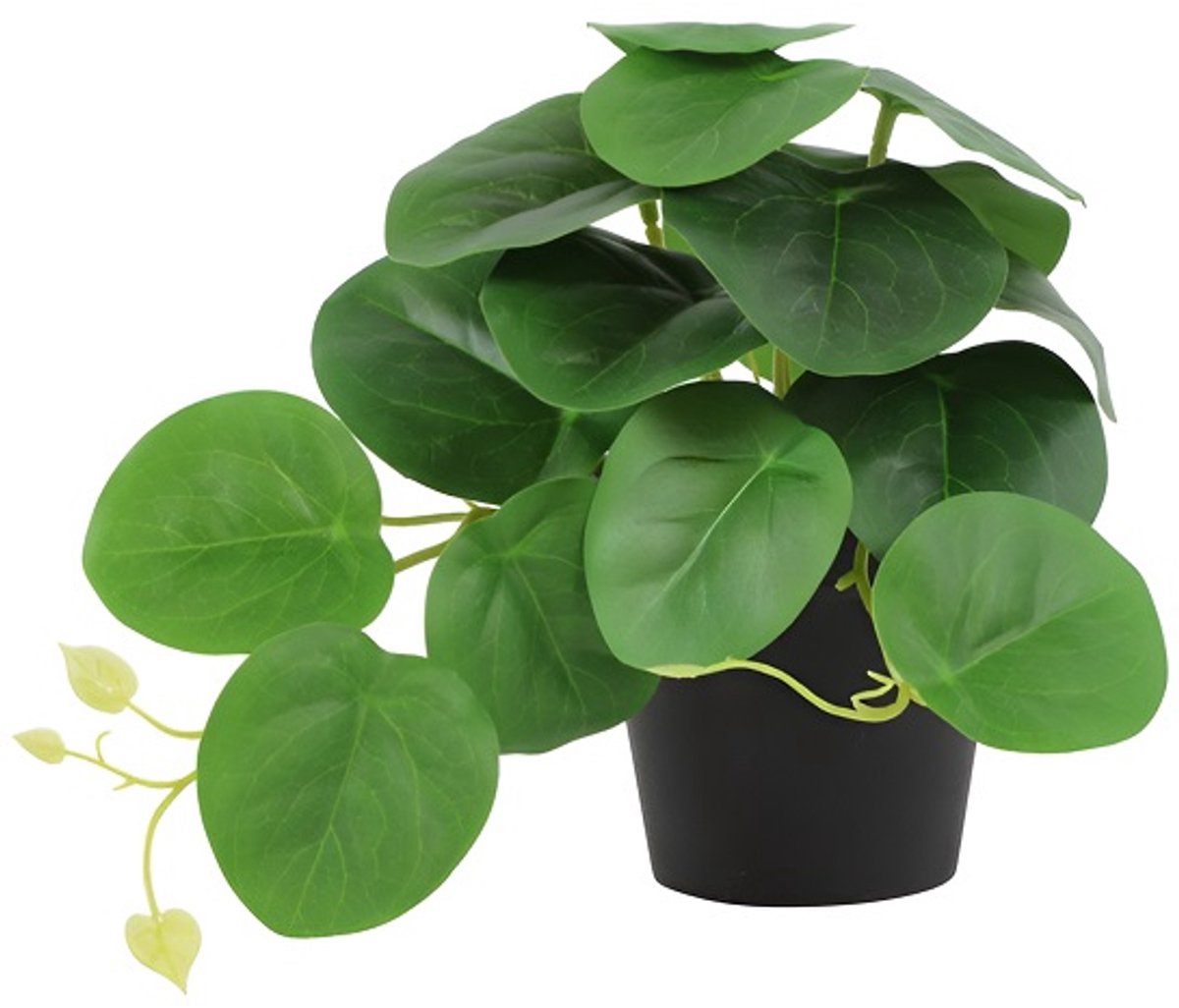 Countryfield Kunstplant-peperomia-groen-hoogte 17 cm