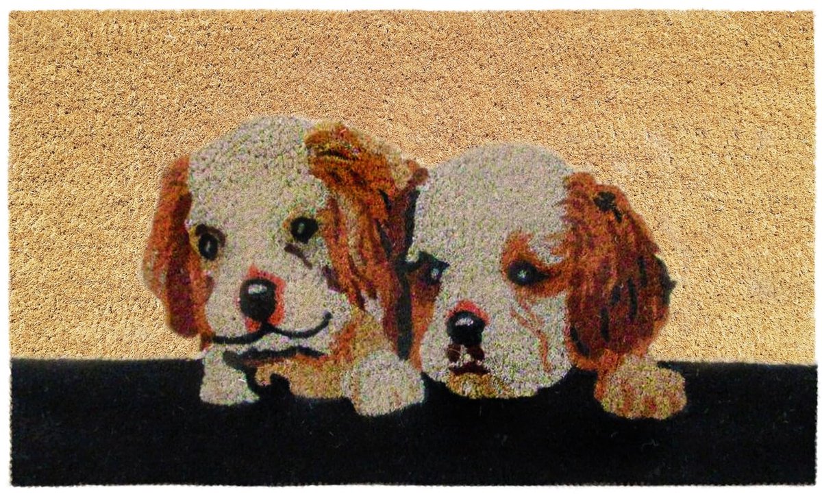 Ibenzoa Fraaie Kokosvezel Deurmat 40 x 70 cm met Antislip Onderzijde voor Binnen en Buiten honden