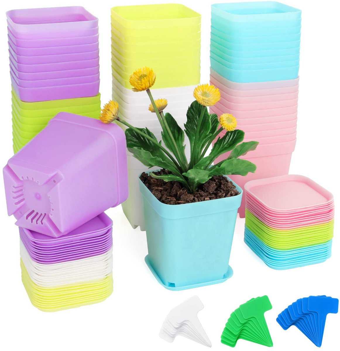 Ibenzoa® 60 Stuks Plastic Plantenpotten met Onderzetter en Etiketten - Vierkant, Multifoon