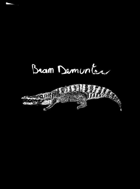 Bram Demunter