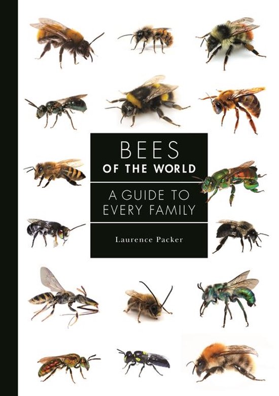 A Guide to Every Family - Bees of the World - cover
