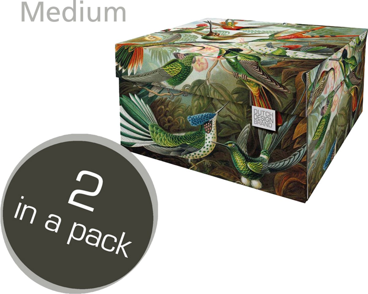 Dutch Design Brand - Dutch Design Storage Box Medium - Opbergdoos - Opbergbox - Bewaardoos - Planten, Jungle, Kolibries - Art of Nature