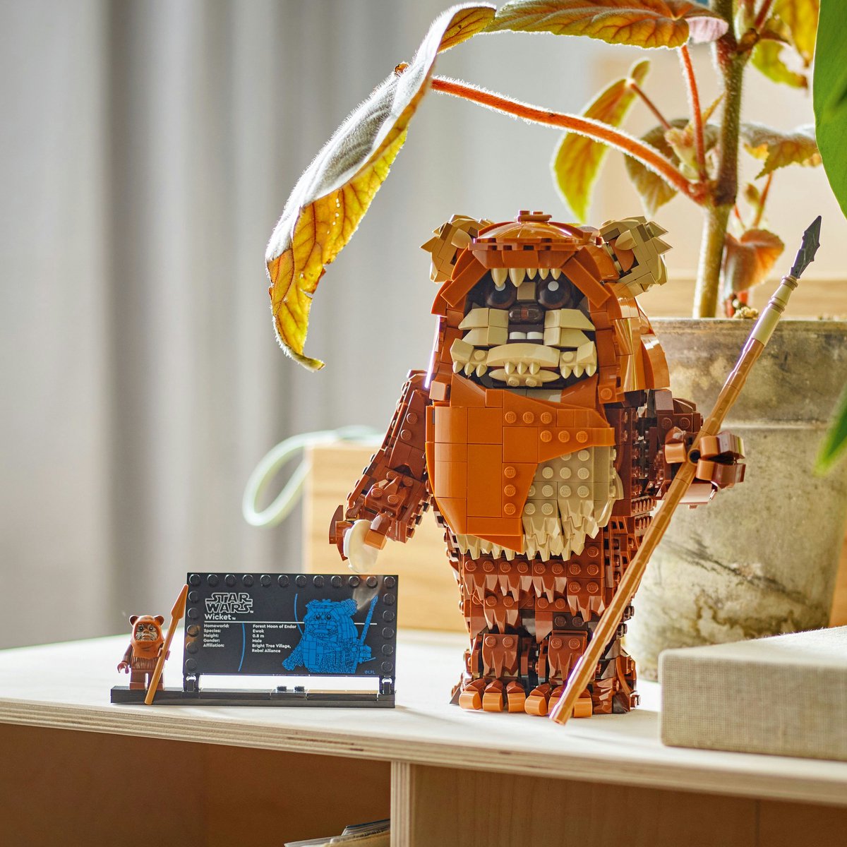 LEGO® Star Wars™ Wicket the Ewok™ - 75430 — afbeelding 4