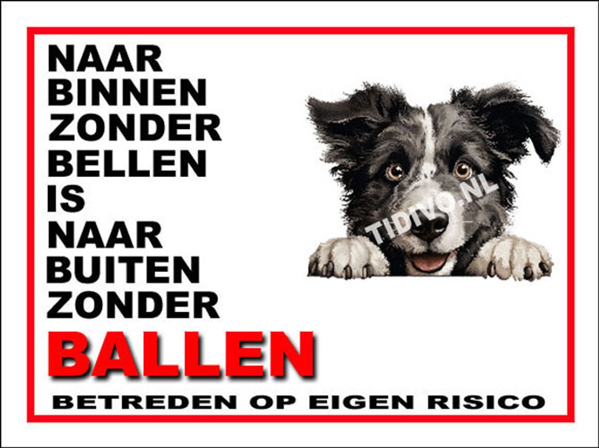 Kroatische Herder 11