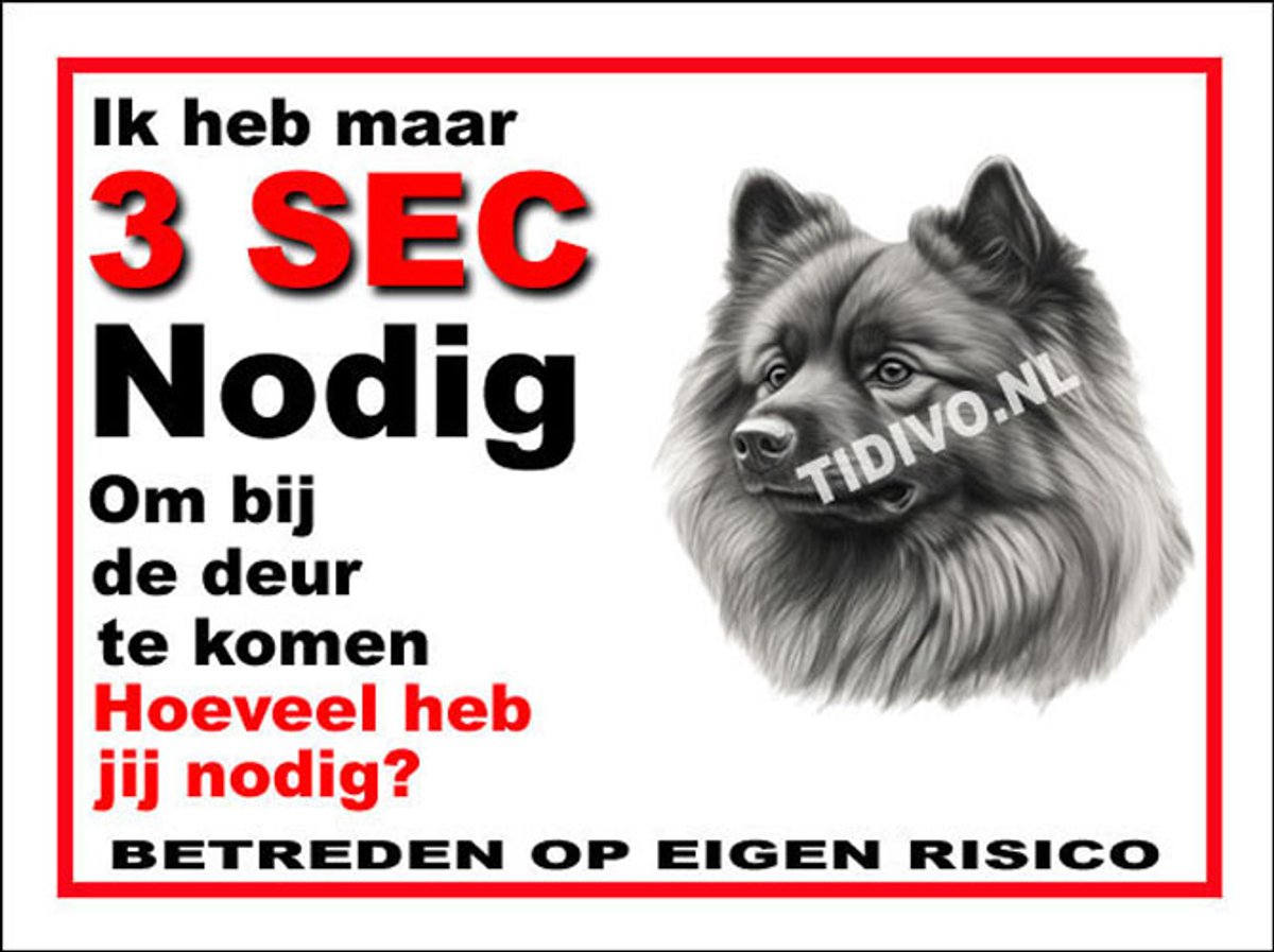 Keeshond 6