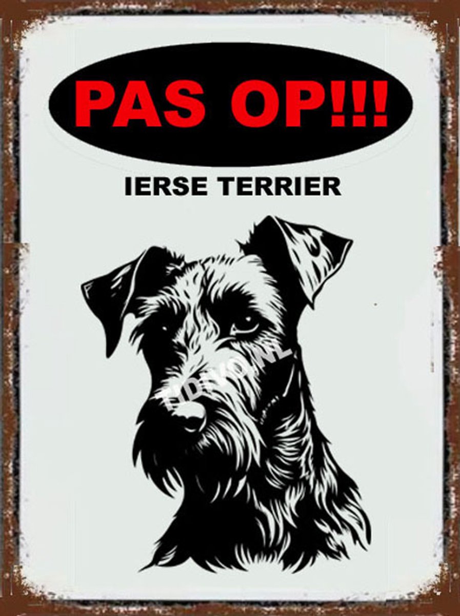 Ierse Terrier 17