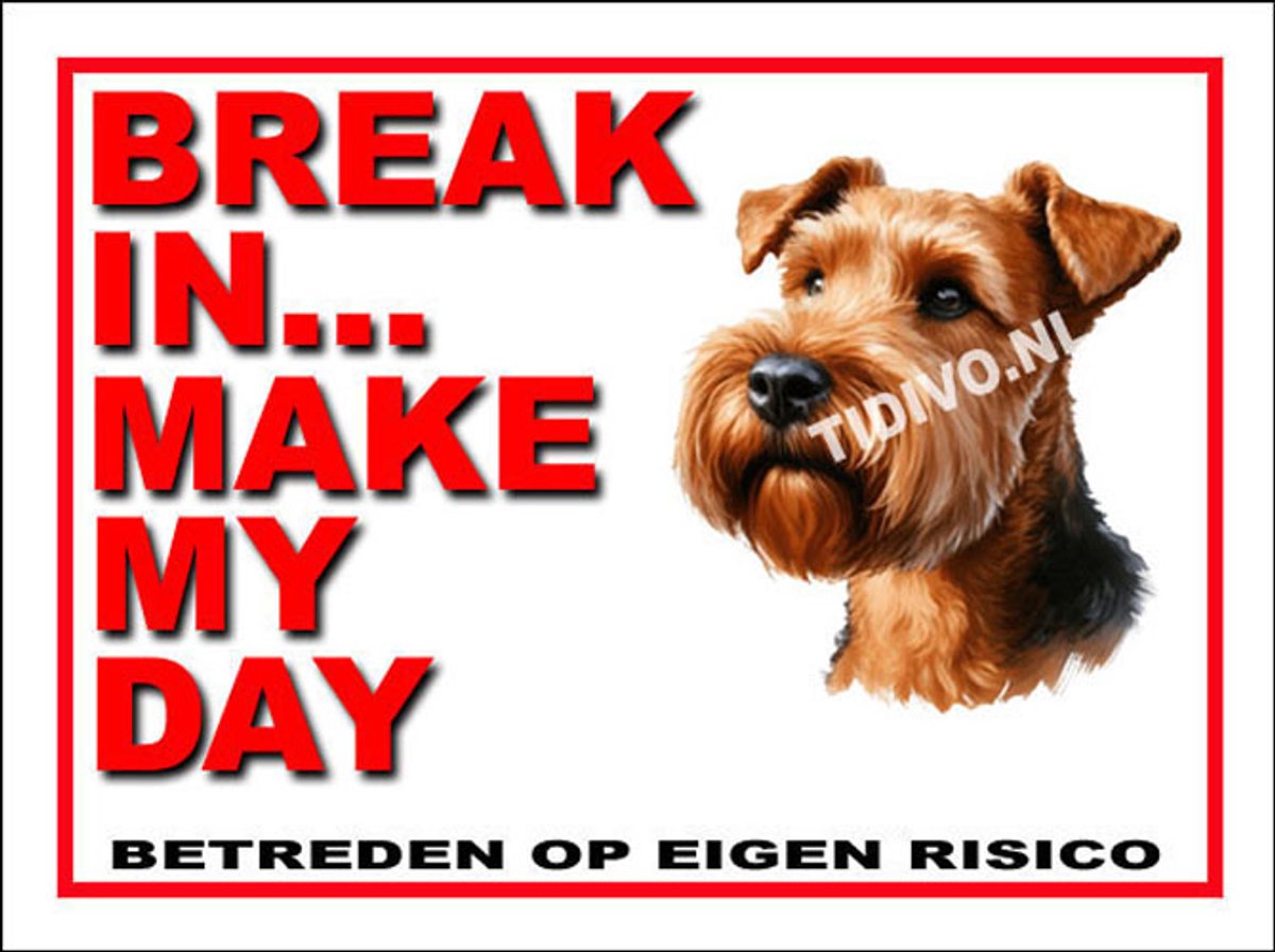 Ierse Terrier 1