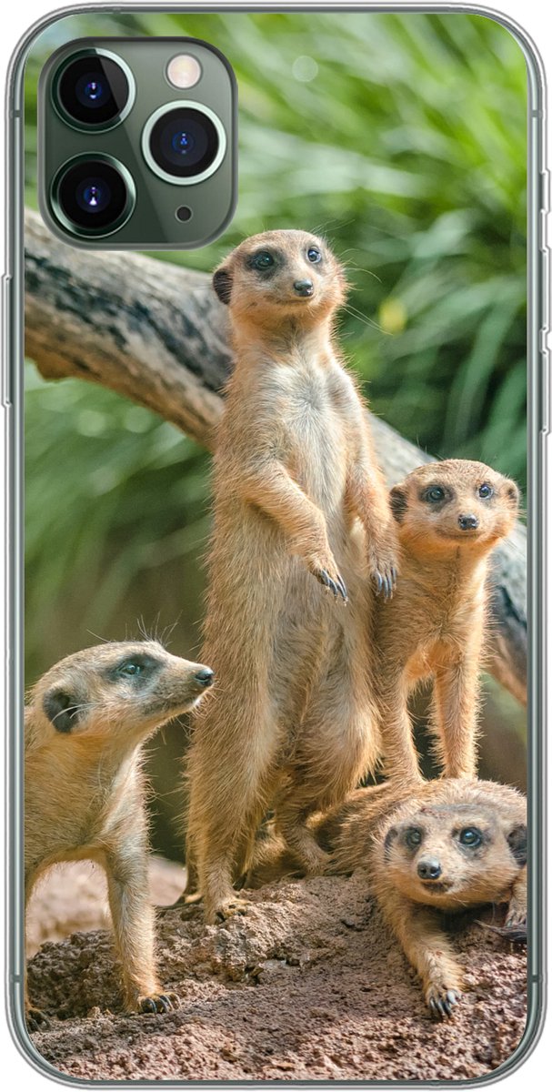 Telefoonhoesje Geschikt voor iPhone 11 Pro Max hoesje - Stokstaartjes - Familie - Dieren - Siliconen Telefoonhoesje Telefoonhoesje