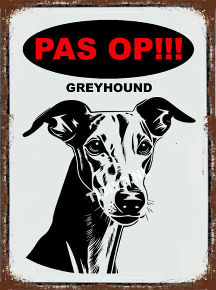 Greyhound 17