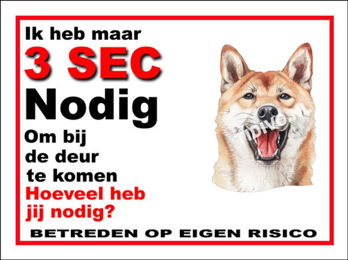 Kishu 6