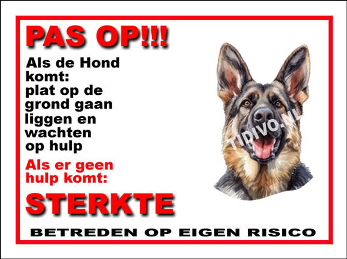 King Shepherd 12